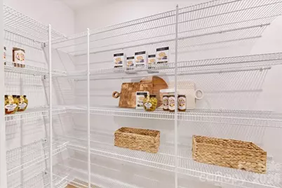 171 Landy Street, Fort Mill, SC 29715 - Photo 17