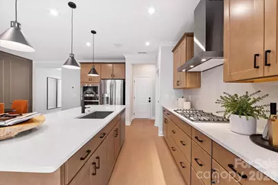 171 Landy Street, Fort Mill, SC 29715 - Photo 15