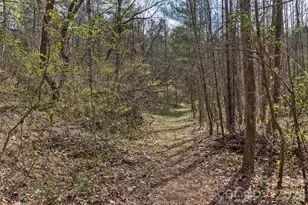 35 Pinebrook Club Dr, Asheville, NC 28804 - Photo 41