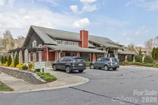 35 Pinebrook Club Dr, Asheville, NC 28804 - Photo 37