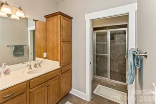 35 Pinebrook Club Dr, Asheville, NC 28804 - Photo 23