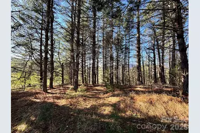 24 Dream Valley Drive #24, Clyde, NC 28721 - Photo 5