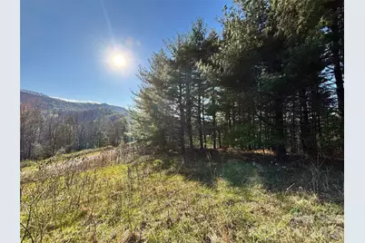 24 Dream Valley Drive #24, Clyde, NC 28721 - Photo 3