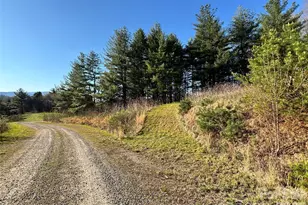 24 Dream Valley Dr, Clyde, NC 28721 - Photo 1