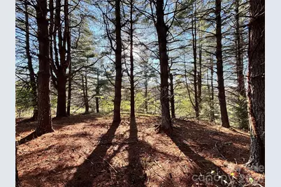 24 Dream Valley Drive #24, Clyde, NC 28721 - Photo 9