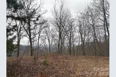 0 Brush Creek Road #37 & 41, Bryson City, NC 28713 - Photo 11