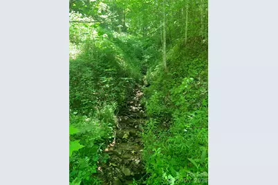 0 Brush Creek Road #37 & 41, Bryson City, NC 28713 - Photo 23