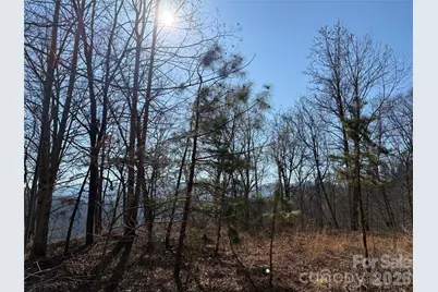 0 Brush Creek Road #37 & 41, Bryson City, NC 28713 - Photo 5