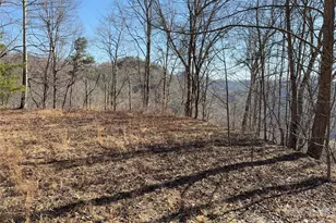 0 Brush Creek Rd, Bryson City, NC 28713 - Photo 1