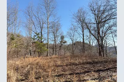 0 Brush Creek Road #37 & 41, Bryson City, NC 28713 - Photo 3