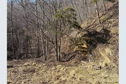 0 Brush Creek Road #37 & 41, Bryson City, NC 28713 - Photo 15