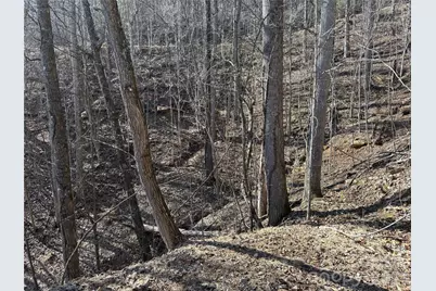 0 Brush Creek Road #37 & 41, Bryson City, NC 28713 - Photo 17