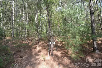 5417 Bridgewater Drive #Lot 260, Granite Falls, NC 28630 - Photo 33