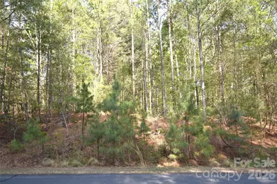5417 Bridgewater Drive #Lot 260, Granite Falls, NC 28630 - Photo 29
