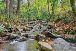 1030 Hughes Gap Rd, Bakersville, NC 28705 - Photo 3