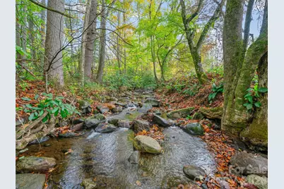 1030 Hughes Gap Road, Bakersville, NC 28705 - Photo 19