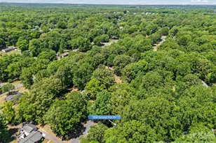 204 Swamp Fox Dr, Fort Mill, SC 29715 - Photo 39