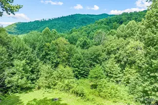 247 Three Springs Dr, Sylva, NC 28779 - Photo 3