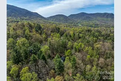 18 Thousand Oaks Boulevard, Fairview, NC 28730 - Photo 43