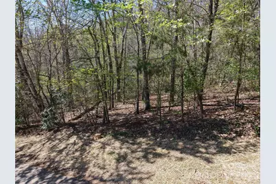 000 Coker Road, Hayesville, NC 28904 - Photo 13