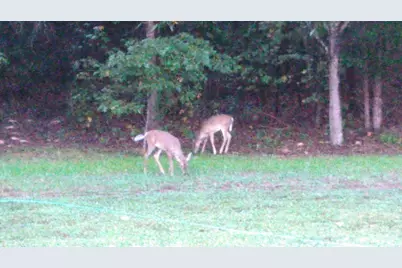 417 Stony Point Road, Kings Mountain, NC 28086 - Photo 13