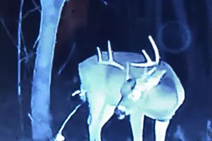 417 Stony Point Rd, Kings Mountain, NC 28086 - Photo 15