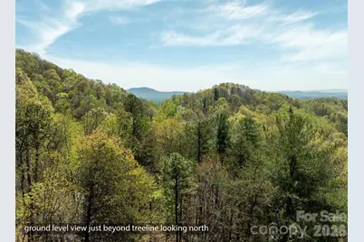 2687 Indian Grave Road, Lenoir, NC 28645 - Photo 19