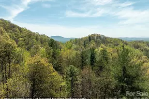 2687 Indian Grave Rd, Lenoir, NC 28645 - Photo 19