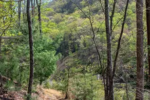 2687 Indian Grave Rd, Lenoir, NC 28645 - Photo 13