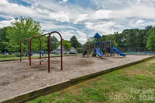 8633 Ducksbill Dr, Charlotte, NC 28277 - Photo 43