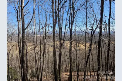 4 Wild Dogwood Trail, Mills River, NC 28759 - Photo 5