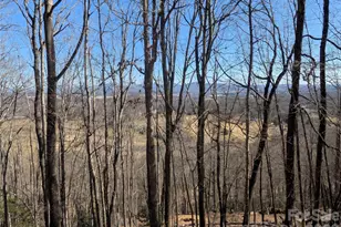 4 Wild Dogwood Trail, Mills River, NC 28759 - Photo 5