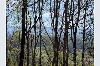 4 Wild Dogwood Trail, Mills River, NC 28759 - Photo 37