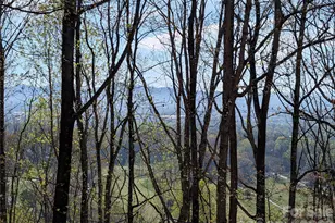 4 Wild Dogwood Trail, Mills River, NC 28759 - Photo 37