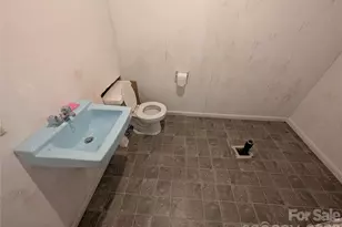 4 Wild Dogwood Trail, Mills River, NC 28759 - Photo 31