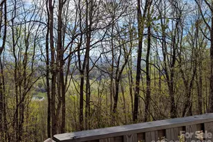 4 Wild Dogwood Trail, Mills River, NC 28759 - Photo 39