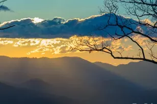 90 Summit St, Waynesville, NC 28786 - Photo 45