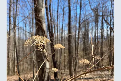 200 Wolverine Court #44, Waynesville, NC 28785 - Photo 9