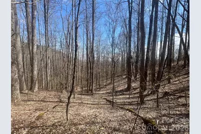 200 Wolverine Court #44, Waynesville, NC 28785 - Photo 1