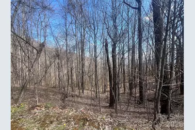 200 Wolverine Court #44, Waynesville, NC 28785 - Photo 17