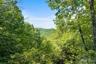 65 Gusv Ct, Brevard, NC 28712 - Photo 7