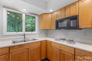 65 Gusv Ct, Brevard, NC 28712 - Photo 31