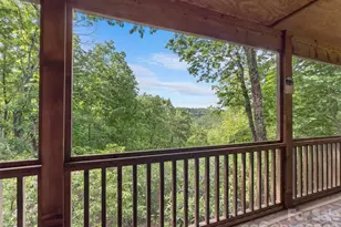 65 Gusv Ct, Brevard, NC 28712 - Photo 5