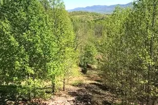 453 Grandview Peaks Dr, Nebo, NC 28761 - Photo 13