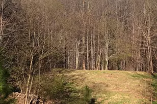 453 Grandview Peaks Dr, Nebo, NC 28761 - Photo 13