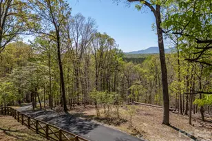 2825 River Rd, Columbus, NC 28722 - Photo 47