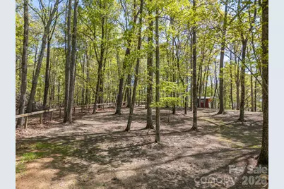 2825 River Road, Columbus, NC 28722 - Photo 33