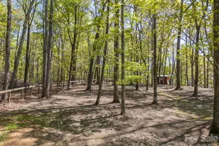2825 River Rd, Columbus, NC 28722 - Photo 33
