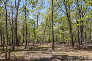 2825 River Rd, Columbus, NC 28722 - Photo 35