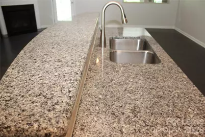 6017 Sweetbay Lane, Indian Land, SC 29707 - Photo 7